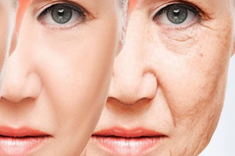 anti aging rules