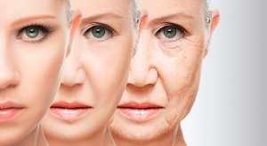 anti aging rules