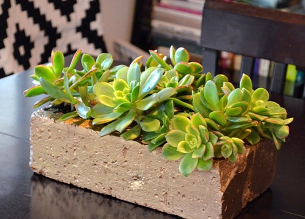 brick flower pot decor idea