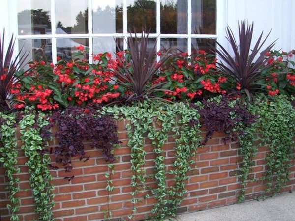 Flower bed from old bricks