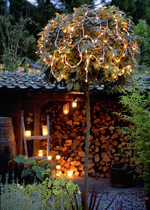 patio light decor idea