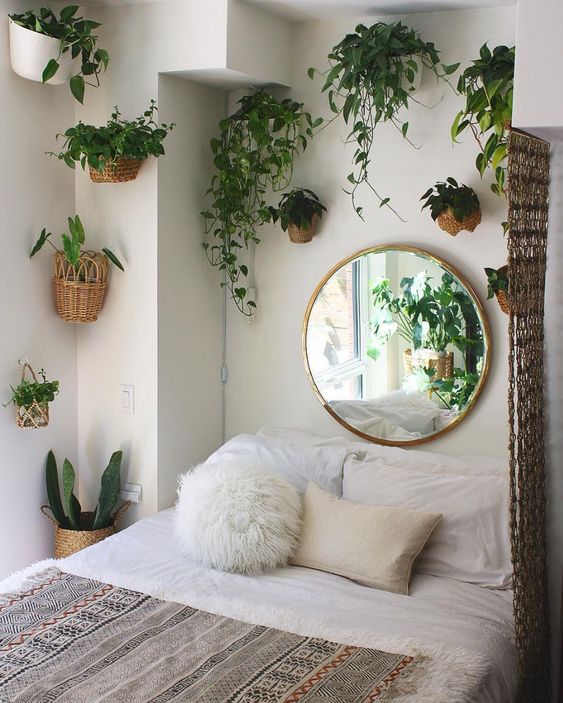 plants in the bedroom