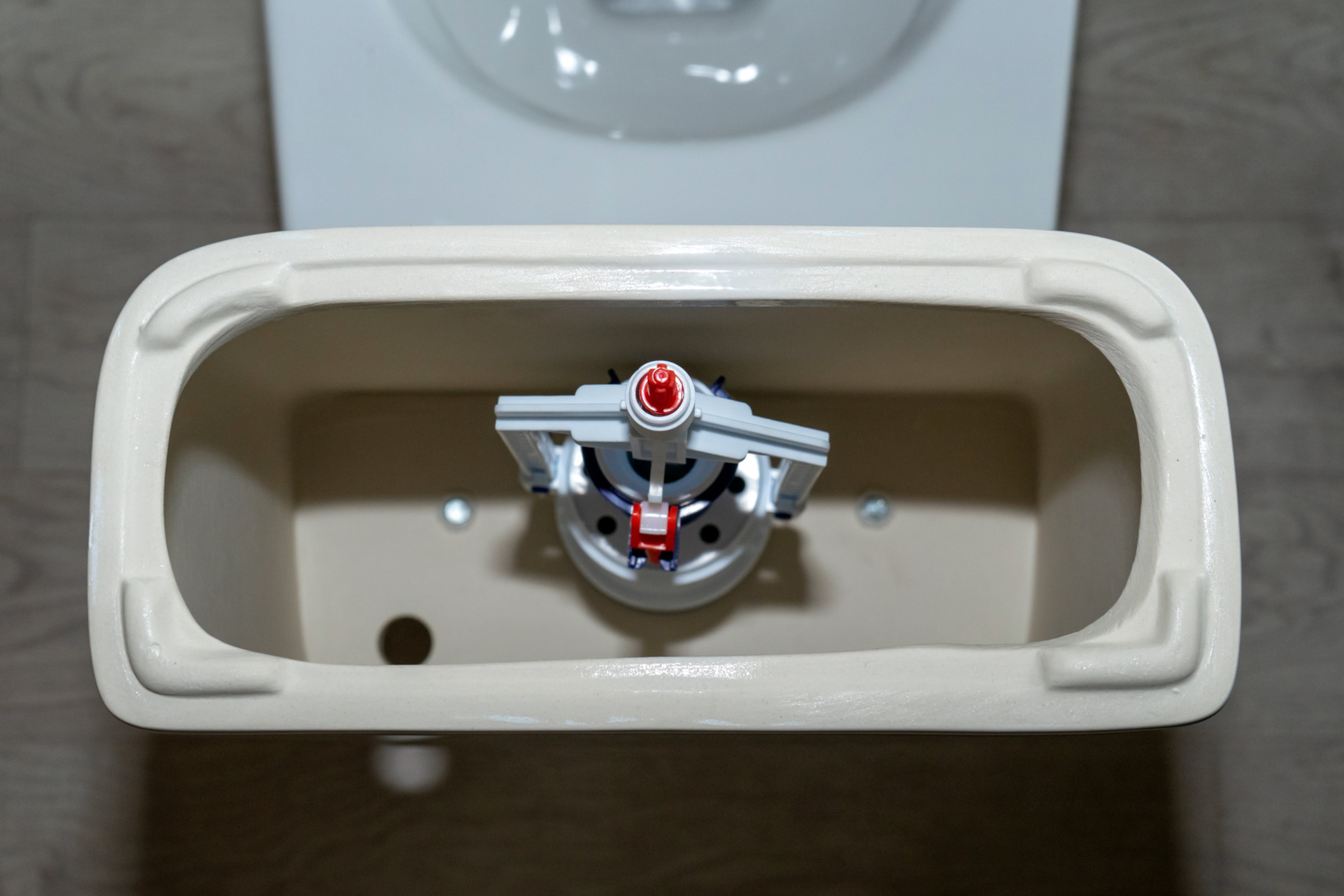 How to clean toilet tank mold