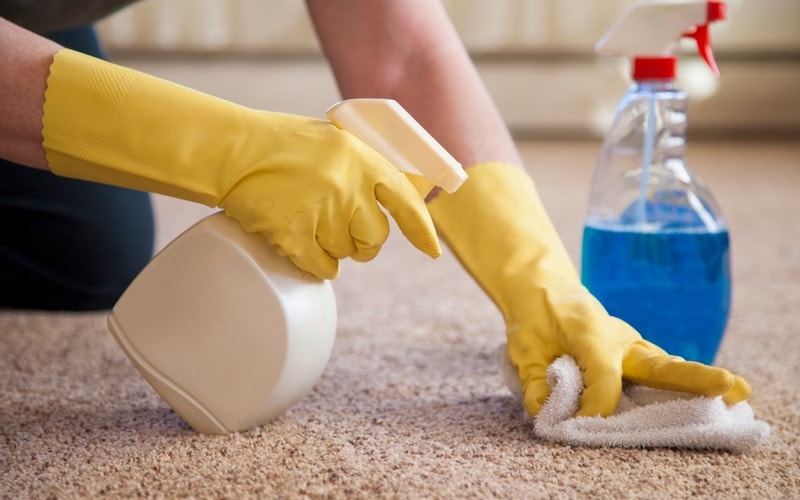 7 Easy Steps ✓ How To Get Glue Out Of Carpet - Beezzly