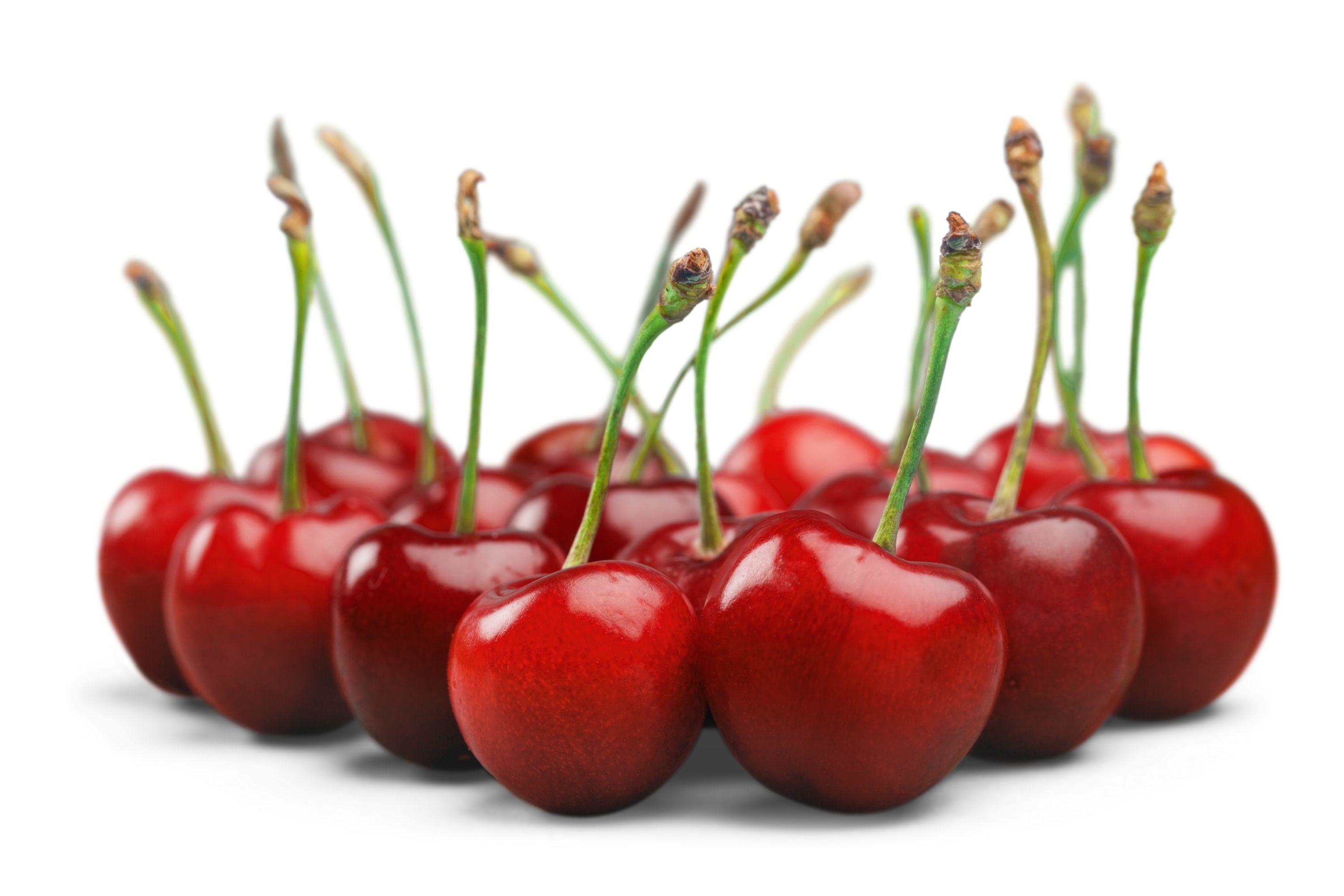 Cherry Varieties