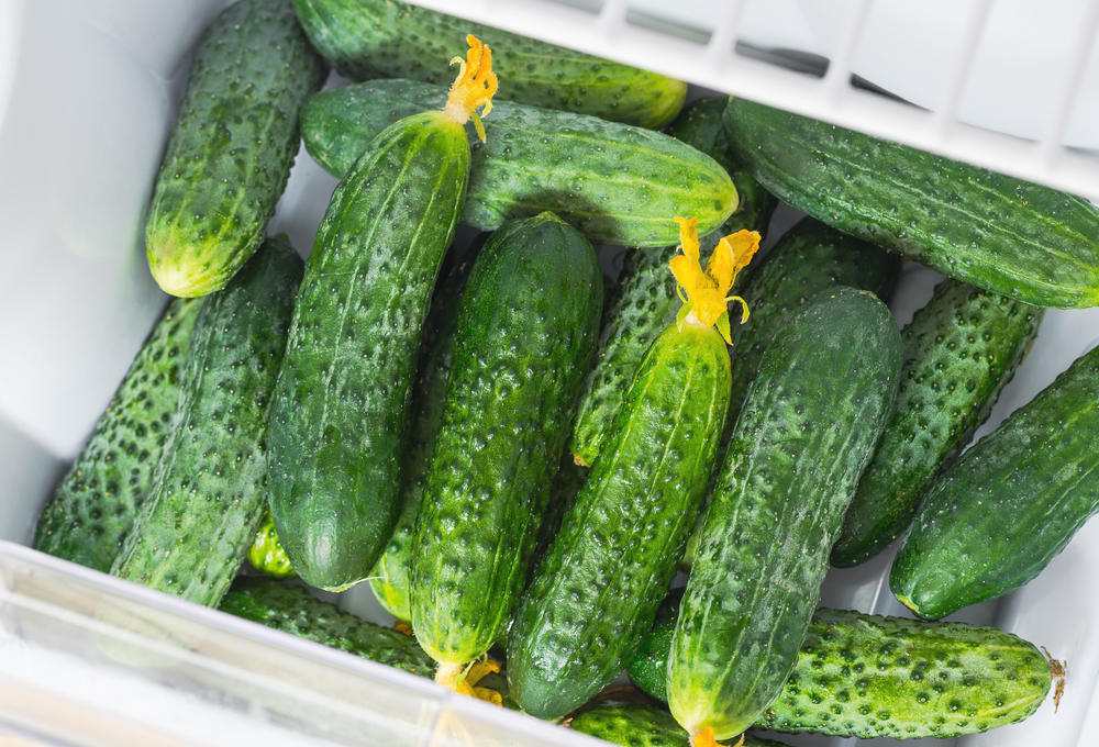 refrigerate cucumbers