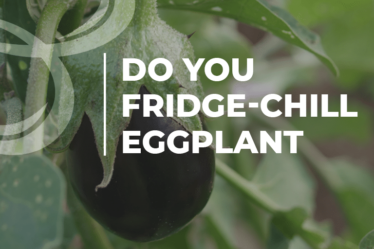 do you fresh chill eggplant