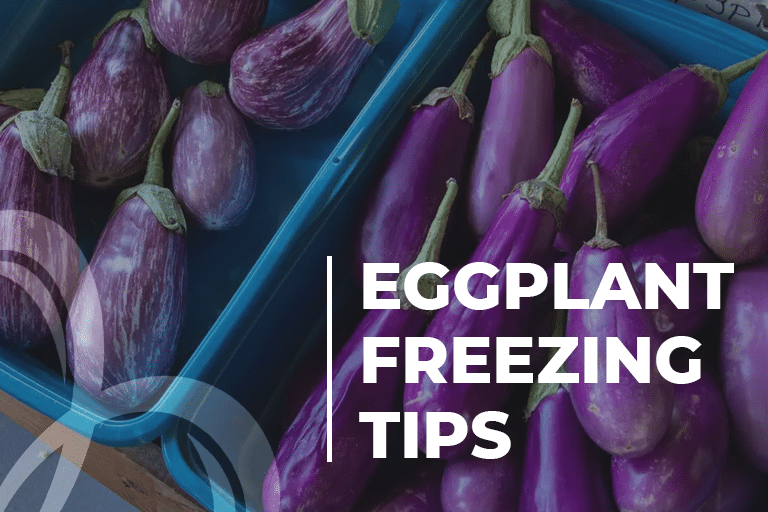 Eggplant Freezing Tips