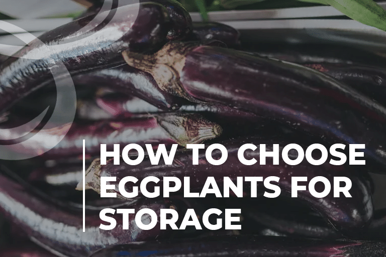 How to Choose Eggplants for Storage