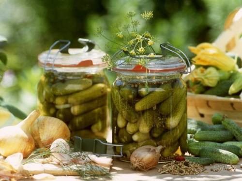  keeping cucumbers fresh