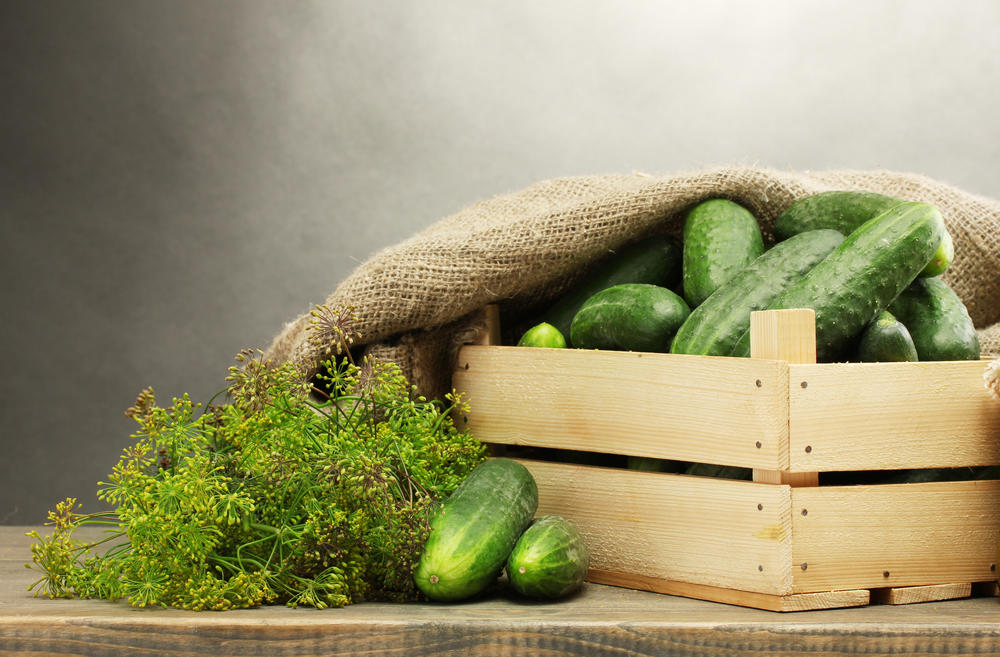 keeping cucumbers fresh