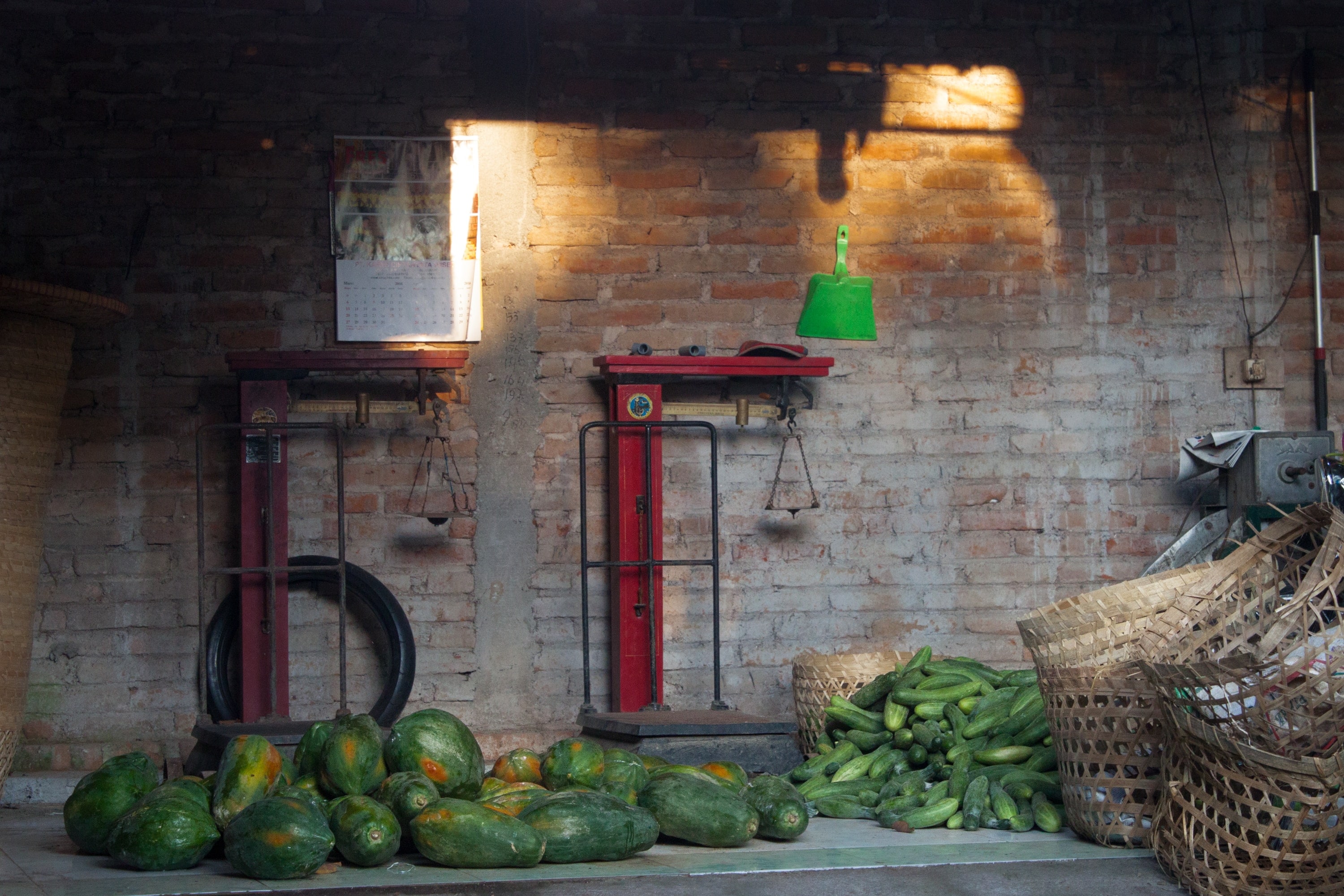 keeping cucumbers fresh