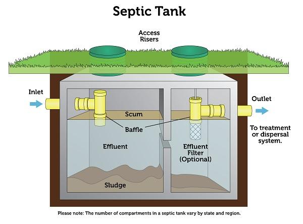 14 Best Septic Safe Laundry Detergent in 2023 | Detailed Guide - Beezzly