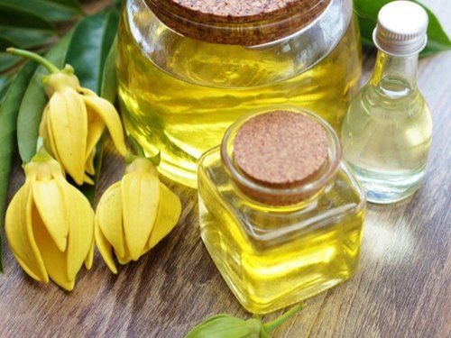 Ylang-Ylang Properties