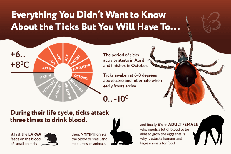 how long can ticks live in a house