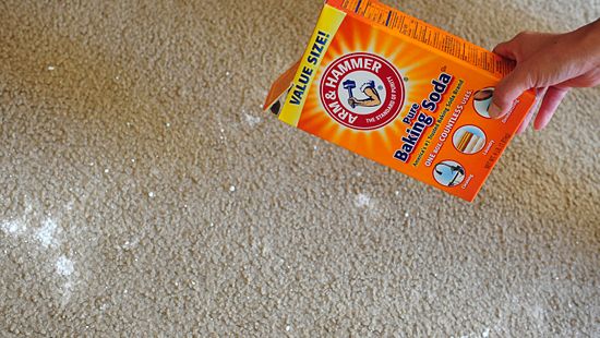 slime removal from carpet