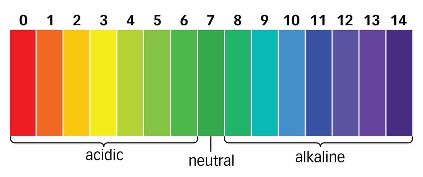 ph of dishsoap