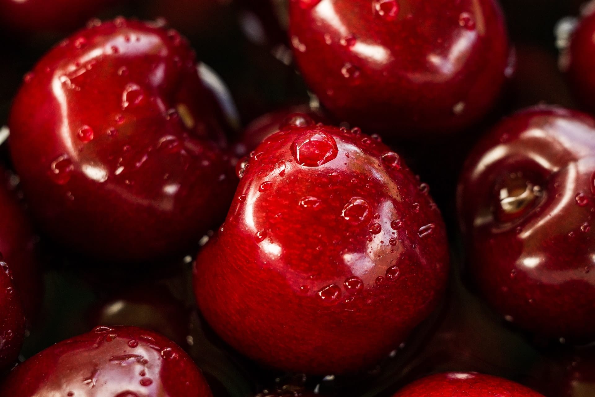 When are cherries in season