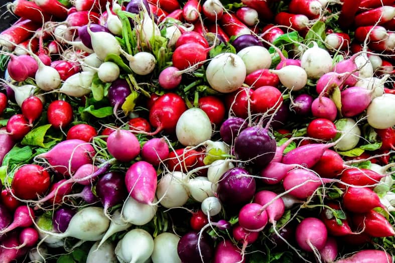 How to Store Radishes? Best Tips And Tricks Beezzly