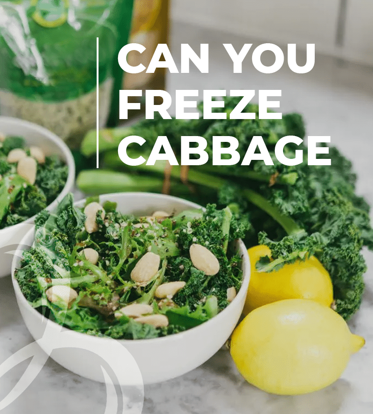 can you freeze cabbage