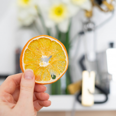 Can you freeze orange slices