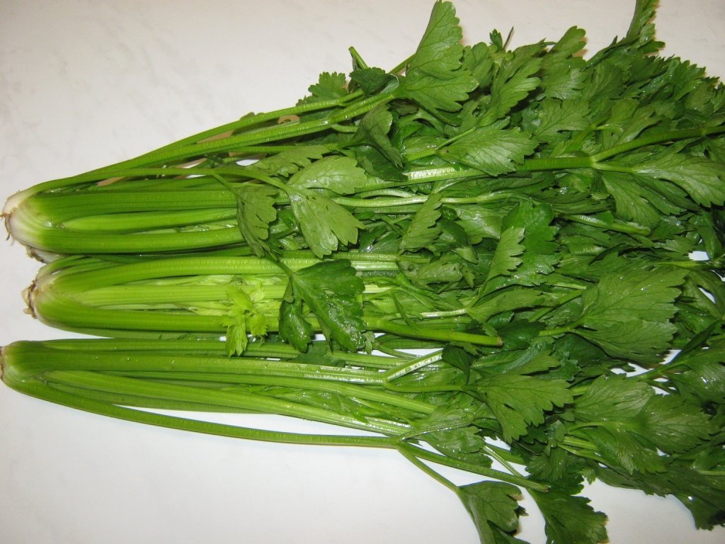 freezing celery