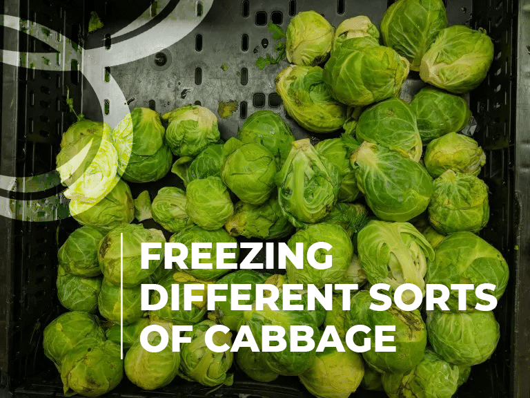 freezing different sorts of cabbage