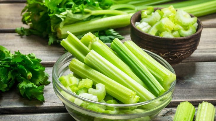 How to Freeze Celery and Keep It Fresh and Tasty Beezzly