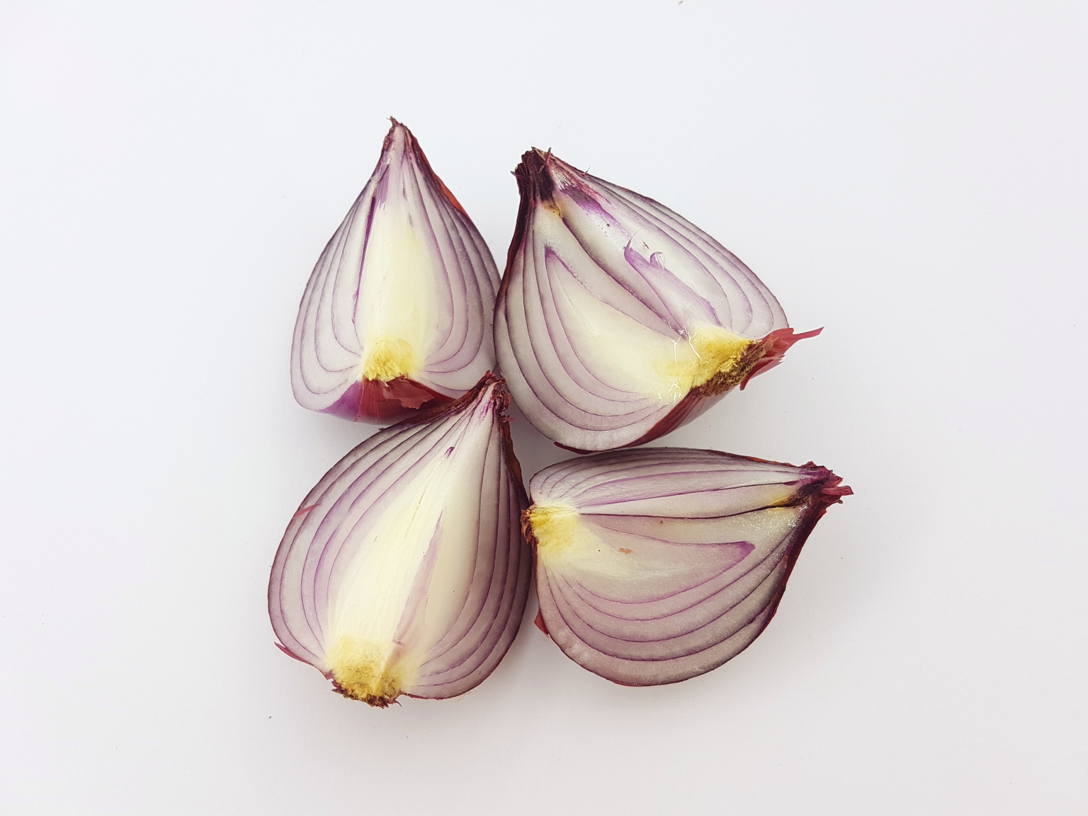 how-to-tell-if-an-onion-is-bad-how-to-store-onions-beezzly