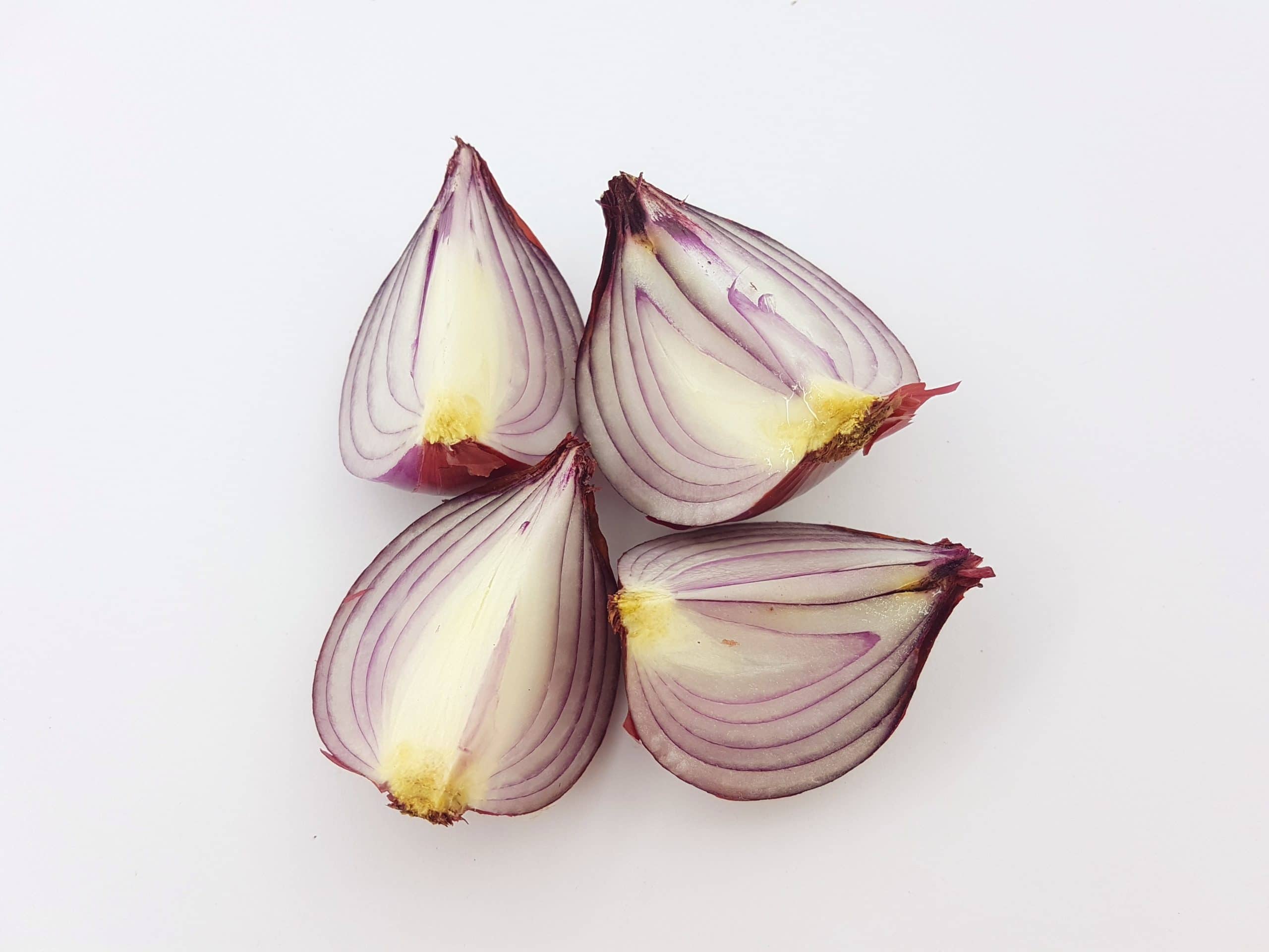 shelf life of cooked onions