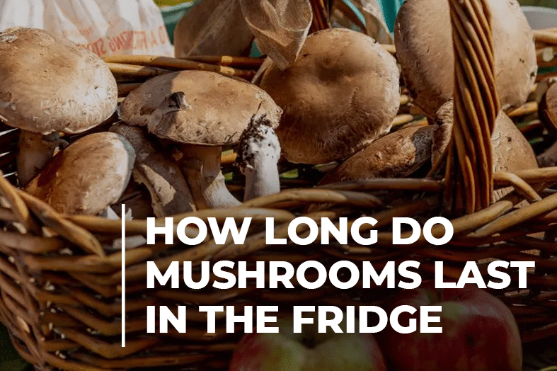How long do mushrooms last in the fridge