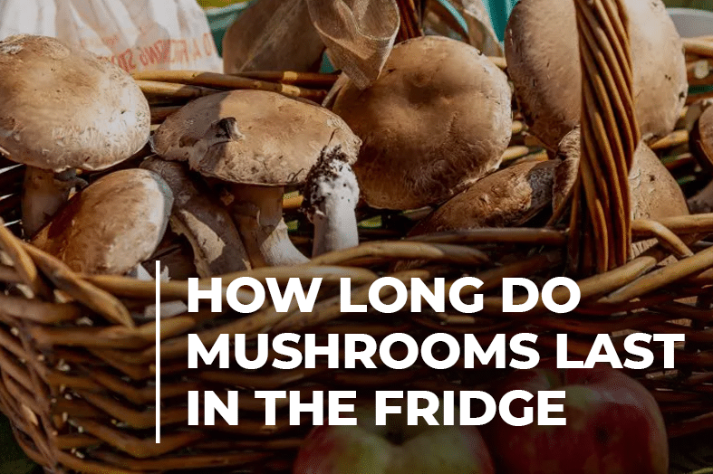 How Long Do Mushrooms Last In The Fridge Beezzly