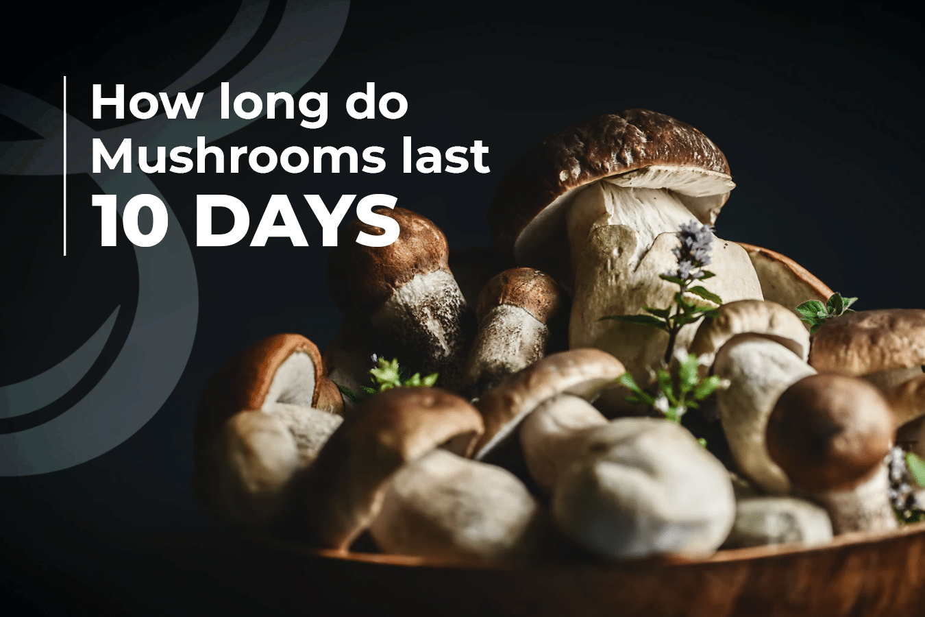 How long do mushrooms last