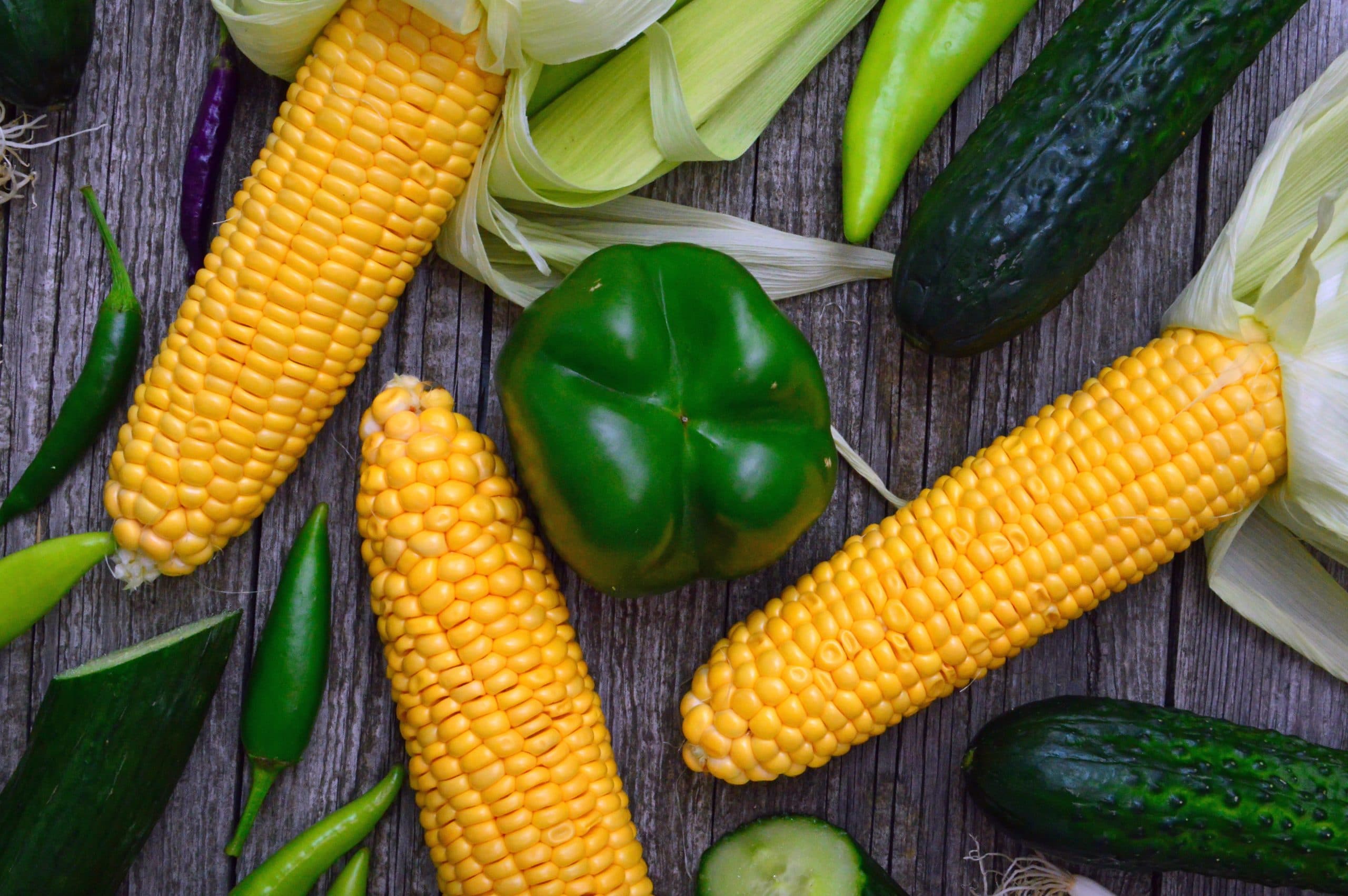 How long does corn on the cob last, you may wonder