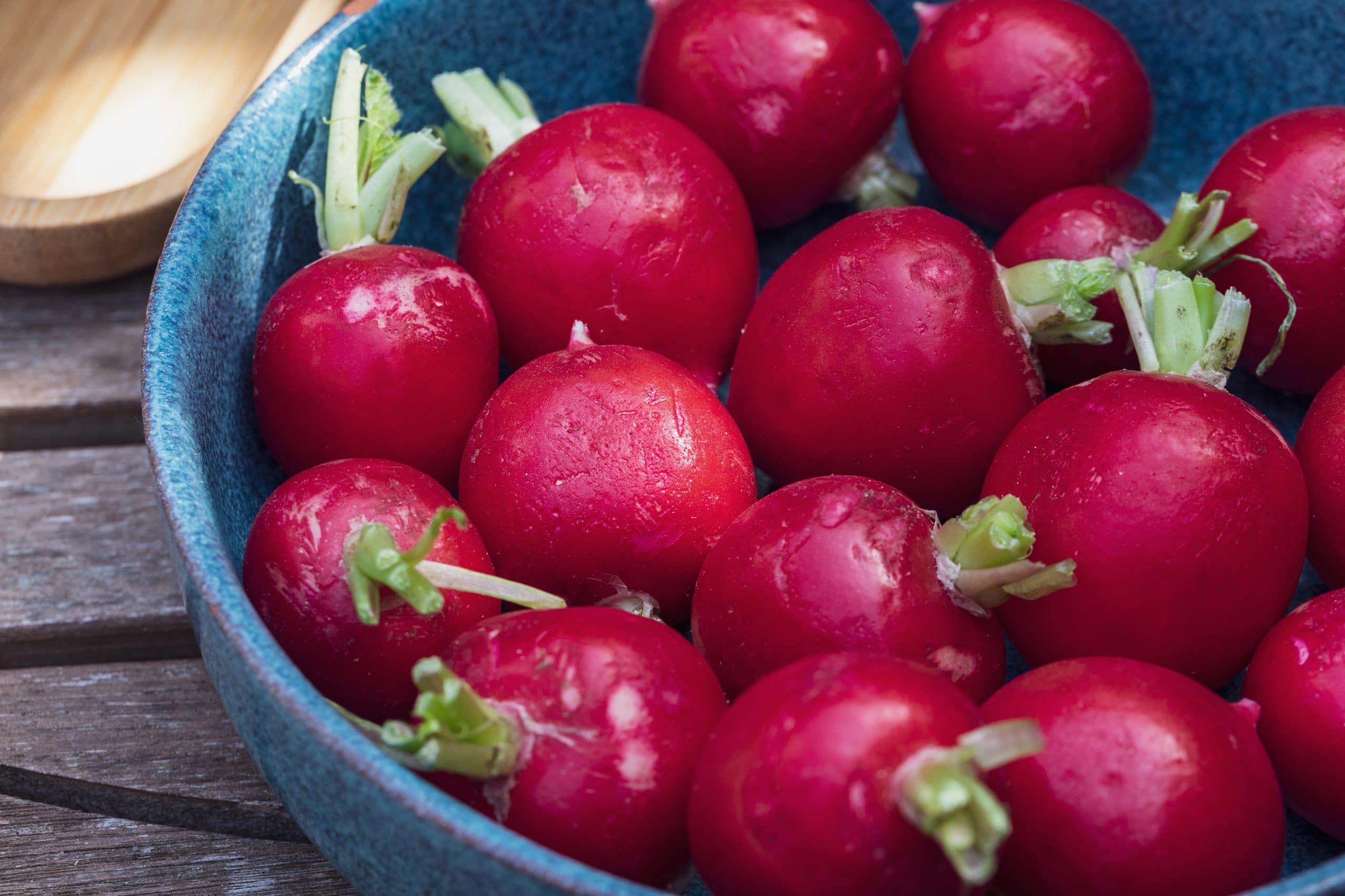 How to store fresh radishes from the garden