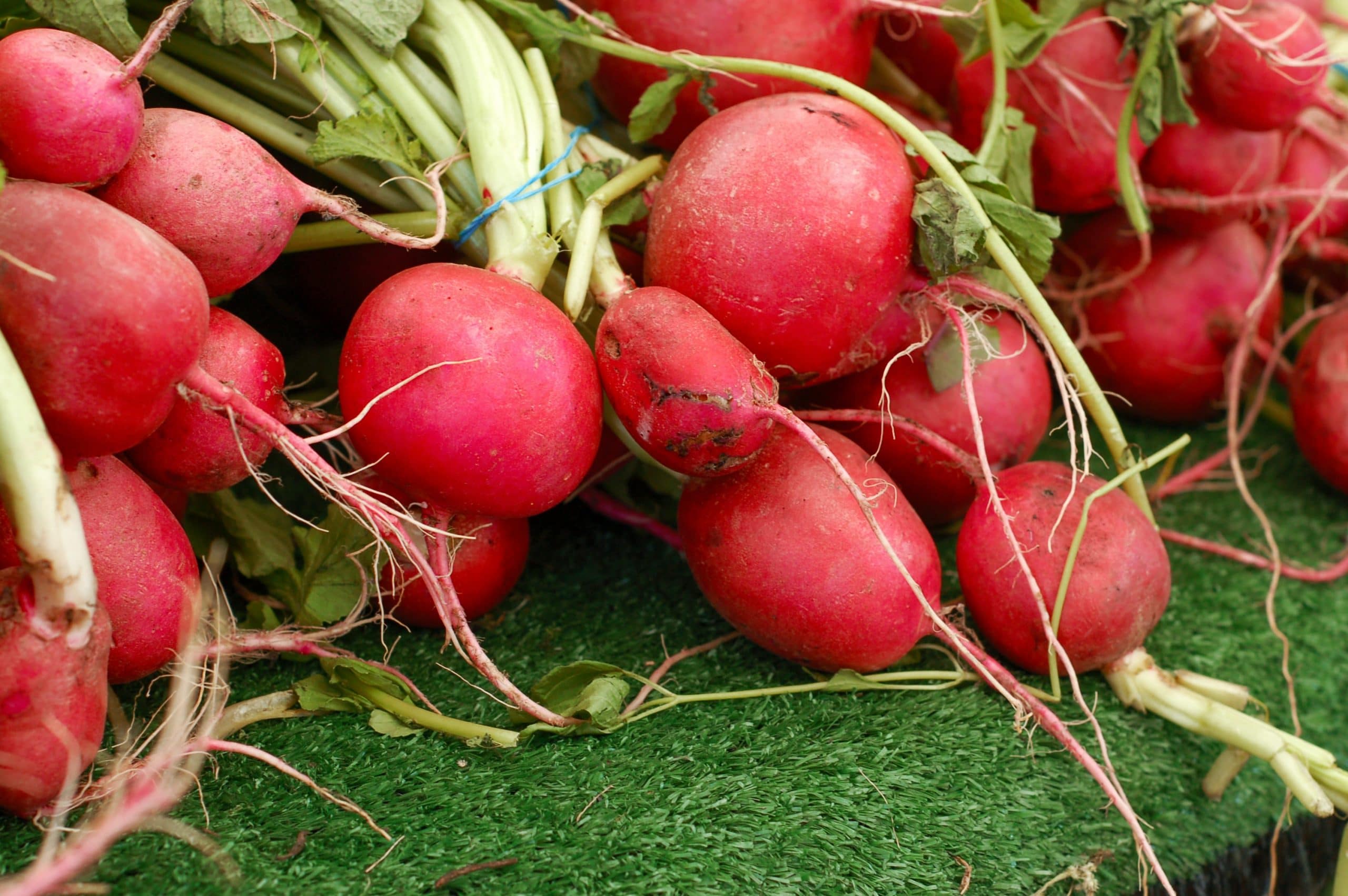 How to Store Preserved Sweet Radish