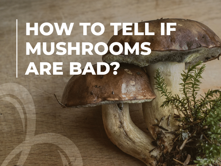 How Long Do Mushrooms Last In The Fridge? Beezzly