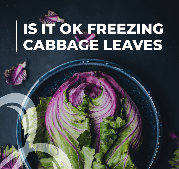 is it ok freezing cabbage leaves