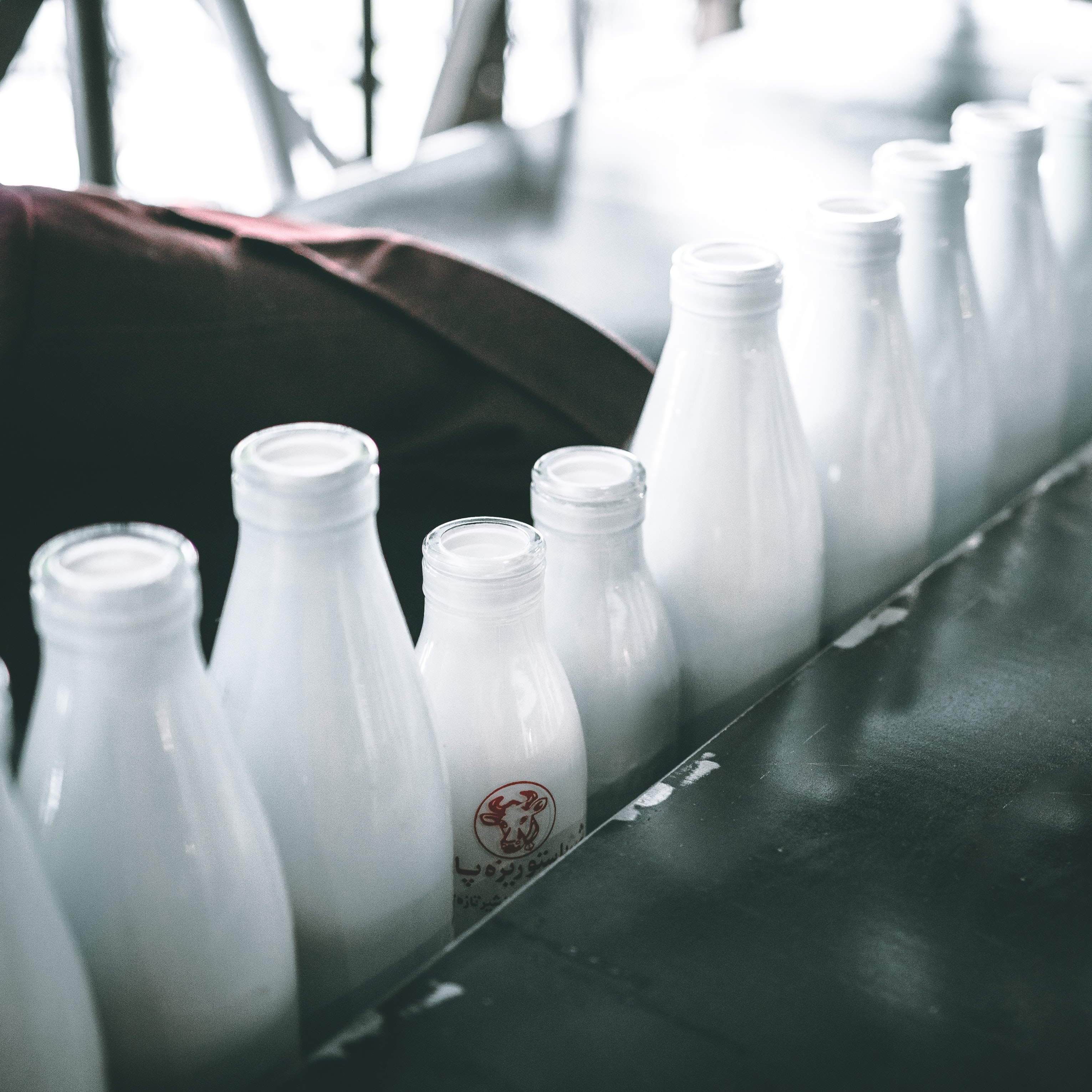 lactose-free milk