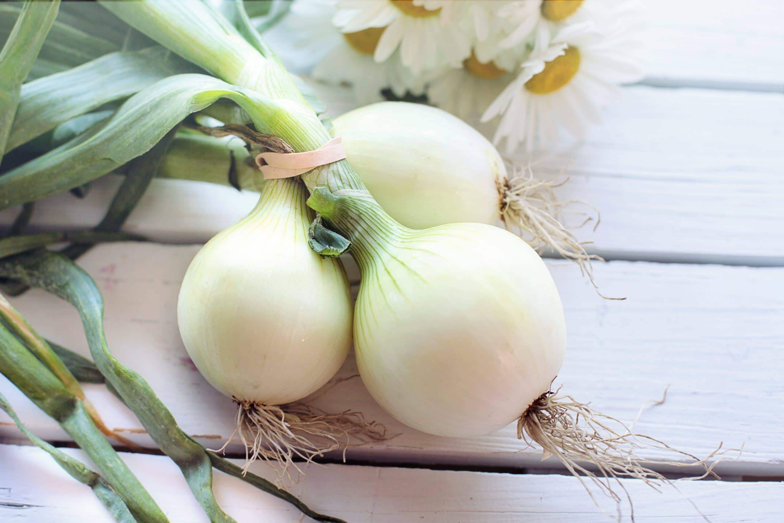 How to Keep Green Onions Fresh?