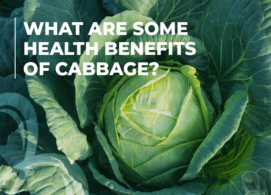 what are some health benefits of cabbage