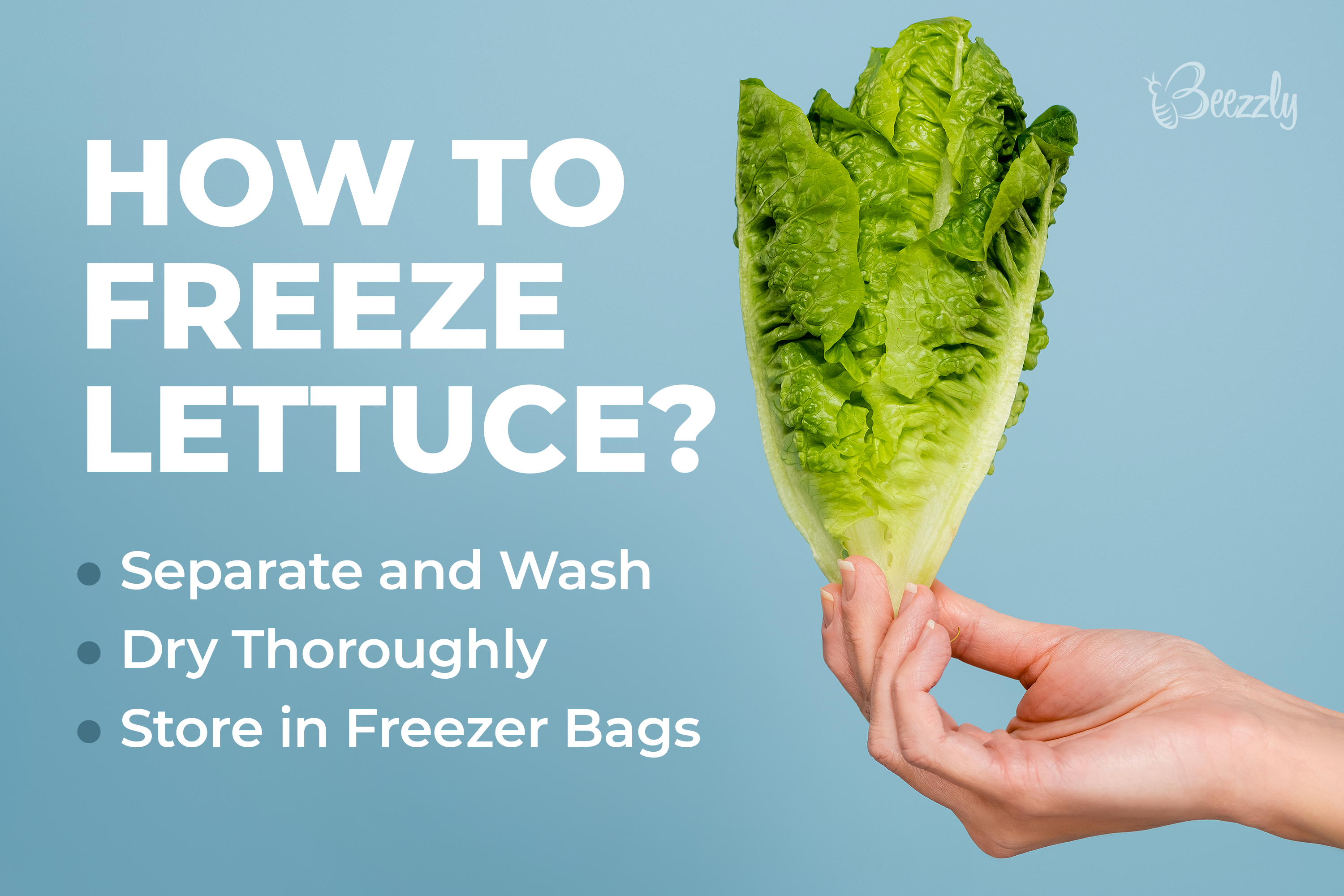 How to Freeze Lettuce