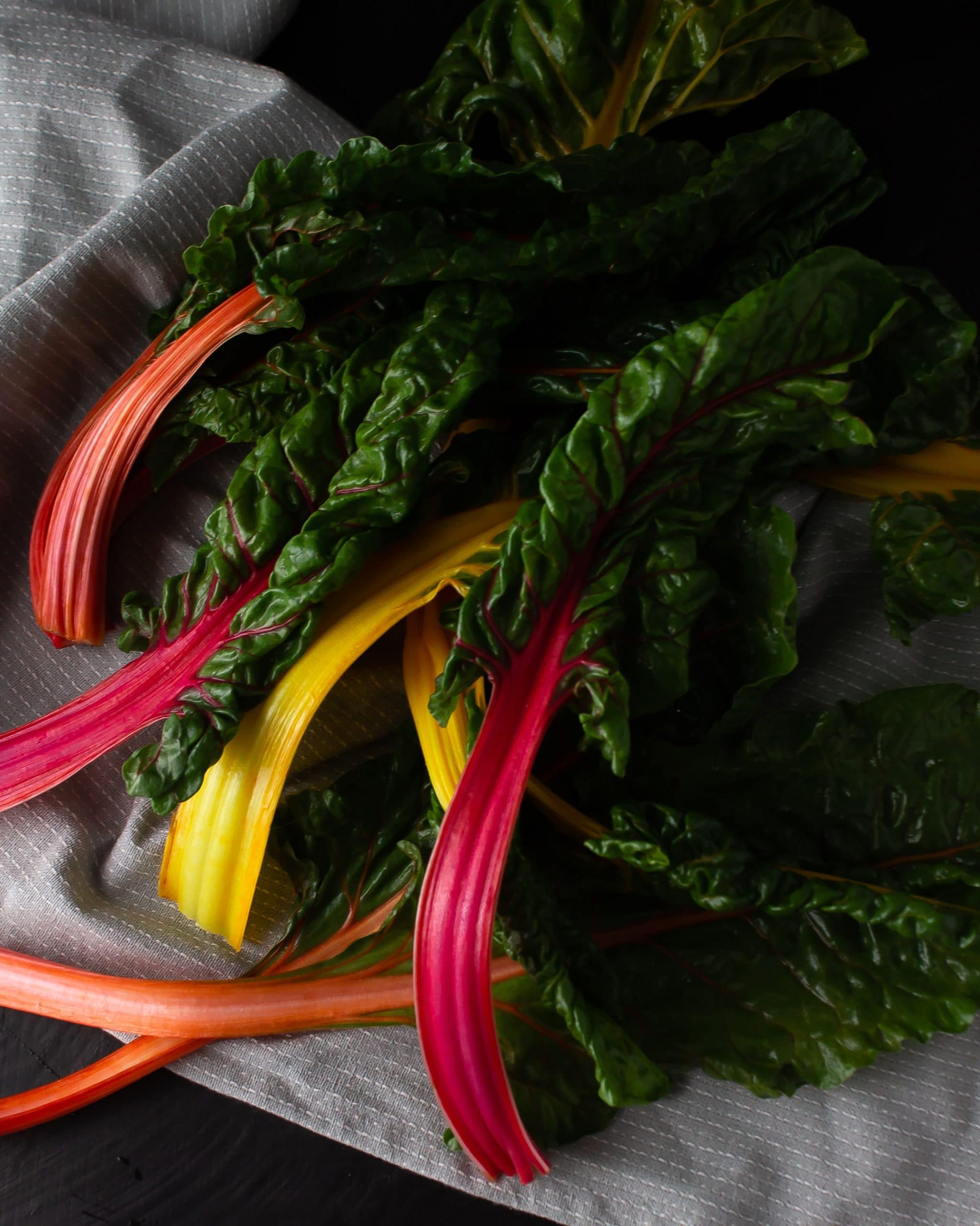 Can rhubarb be frozen