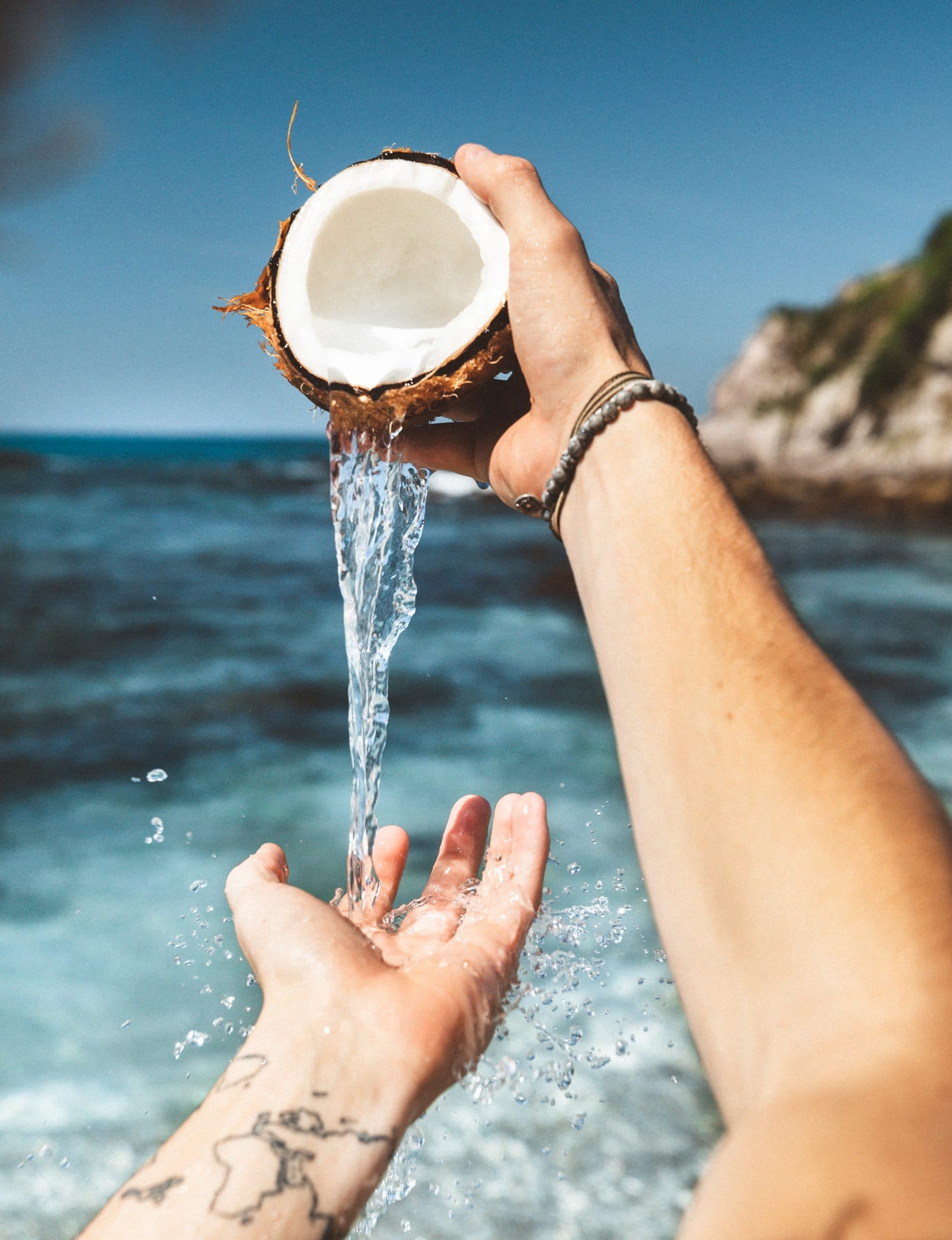 Coconut Milk Shelf Life