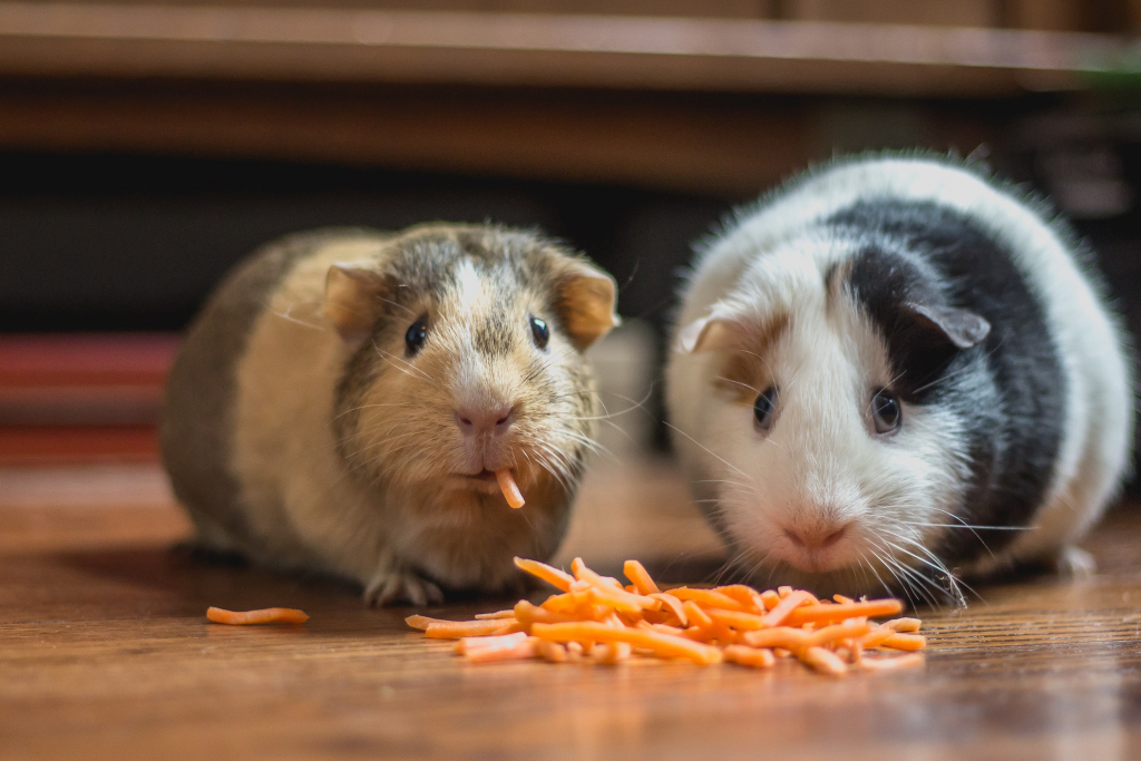 freezing carrots