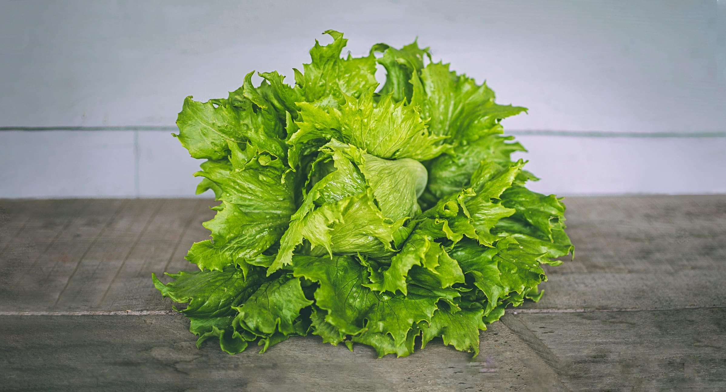 Can You Freeze Lettuce Detailed Guide Beezzly