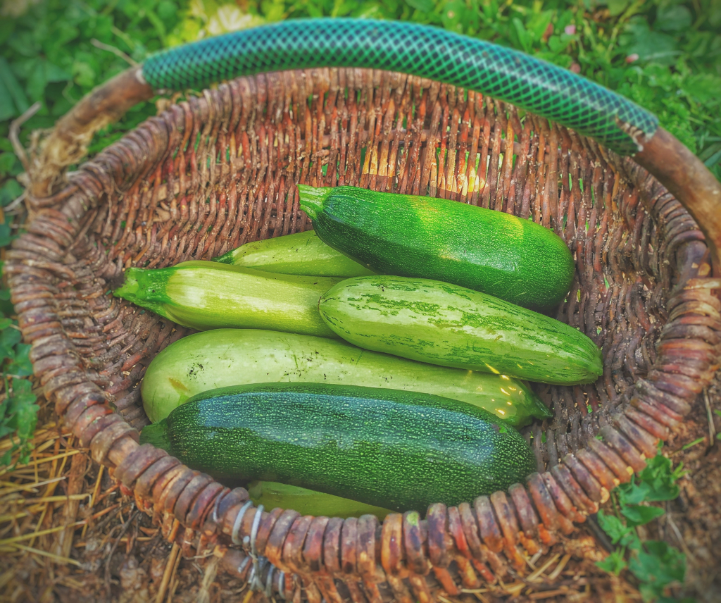 freezing zucchini