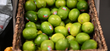 How Long Do Limes Last