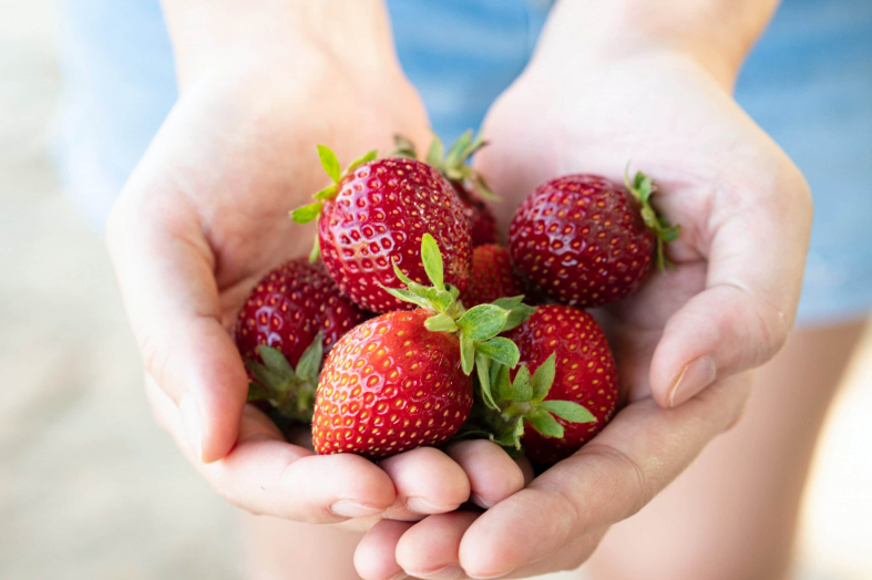 How to Freeze Strawberries