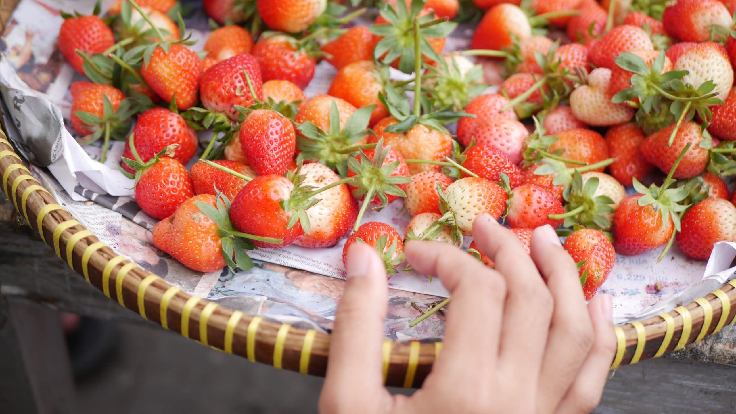 how to keep strawberries fresh